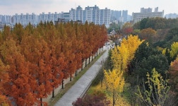 다음 주 올가을 첫눈 내릴수도…이번 주말은 포근해요