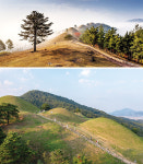 [박기자 어디가] Travel of GAYA, 경북 고령 여행