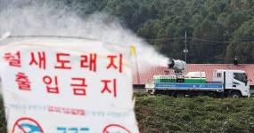전남 영암 가금농장서 고병원성 AI…올해 네 번째