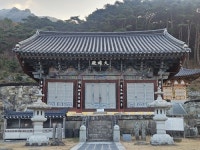 [박기자 어디가] 대구 유가사로 떠난 템플 워케이션