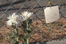 윤 대통령 정말 체포될까…1월 6일 시한 [짤e몽땅]