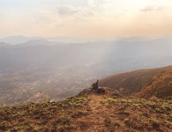 [Overseas Trip] 남인도 여행② ‘문나르’ 초록빛 파라다이스를 찾아서