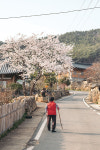 [Travel] 먹고 또 먹고 배부른 여행...전남 강진에서 만난 봄