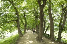 [Travel]죽녹원 바람 소리가 들리는 담양 여행