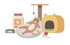 [Pet] “불러주시면 달려갑니다!” 반려동물 출장 서비스