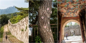 [Travel] 초가을을 먼저 걸었습니다...서울 한양도성길