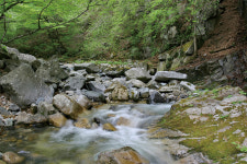 [Travel] 풍경에서 찾은 위로...설악산에 올라
