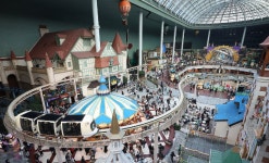 롯데월드 혜성특급 달리다 멈춤…안전센서 오작동 추정