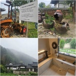[Travel] 안동 금소마을에서의 금양연화