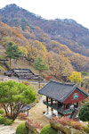 [Travel] 바람과 햇살, 그리고 오래된 침묵이 머무는 곳...경북 봉화 여행