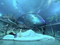 [Overseas Trip] 대만 여행이 지겨워진 당신에게...핑동현에서 즐긴 8가지 스펙타클한 순간들①