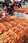 [Travel] 청정 동해안의 숨은 보석을 찾아서... 동해의 끝, 새로운 시작 울진 여행