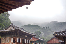 [Travel]느긋하고 여유로운 봄 드라이브...파주로 떠나는 하루 여행