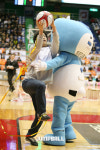 [KBL] 14일 KT-LG전 토요일 오후, 농구팬心을 사로잡다