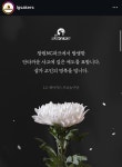 창원 LG도 야구장 낙하 사고 피해자 애도 동참…삼가 고인의 명복을 빕니다