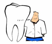 노년층, 젊은이보다 더 잘 씹어야 뇌 활동 유지