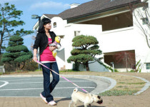 ‘해발 500ｍ, 꿈의 별장’ 마우나오션리조트에 가보니…