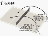 배구의 핵심 공격기술  서브에 관한 모든 것