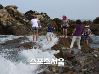 [주말 IN&OUT] 어촌으로 떠난 늦휴가 '영덕 대게 원조마을'