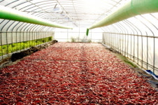 [소비자경영대상] 자식을 사랑하는 마음으로, 농업문화를 바꾸고 있는 ‘푸르미체험관광농장’