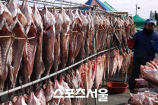 [주말 IN&OUT]거제의 봄은 식탁위로 온다 거제도 맛집