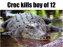 악어떼 공격에 목숨잃은 12세 소년 시신도 못찾아…