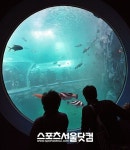 [SS포토]여수엑스포, 이색 원형수족관