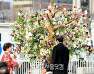 [SS포토]희망나무 바라보는 박근혜 대통령