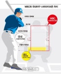 WBC숙제, 국내와 다른 스트라이크존 적응