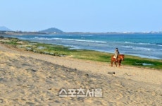 제주도 좋아 한결 여유로운 제주도의 동편.