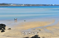 제주도 좋아 한결 여유로운 제주도의 동편.