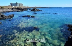 제주도 좋아 한결 여유로운 제주도의 동편.