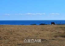 제주도 좋아 한결 여유로운 제주도의 동편.