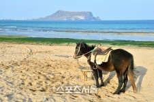 제주도 좋아 한결 여유로운 제주도의 동편.