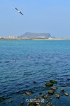 제주도 좋아 한결 여유로운 제주도의 동편.