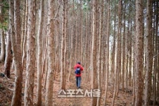 제주도 좋아 한결 여유로운 제주도의 동편.