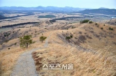 제주도 좋아 한결 여유로운 제주도의 동편.
