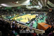 동부,15일 홈 최종전서 치악체육관 고별행사