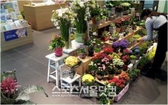 [SS현장]‘성년의 날’ 장미 어디서?…백화점, 동네 꽃집 7.2배↑