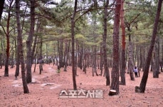 울진, 국내에서 가장 아름다운 바다를 품은 곳.