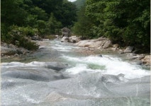 다하누촌, 영월 바캉스객에 특가로 쏜다!