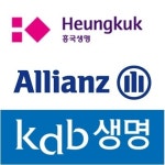 흥국·알리안츠·KDB생명, 불량 보험 계약 무더기 적발