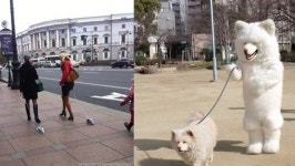다리미 산책시키는 여자 vs 개 산책시키는 탈인형…재미있네~