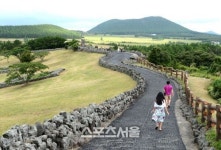 하늘에 오를래, 가을에 오를래, 제주 가을 오름여행