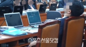 [국정감사 24시 ③] 국감 의원 유형 빅3…차트-호통-딴짓