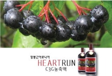 장봉근아로니아 하트런 C3G농축액 출시