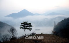 호수를 보러 왔다가, 물에 비친 그림속에 빠져들다. 제천 청풍호 여행