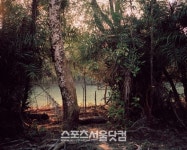 [SS포토] 최종성 작가가 보여주는 순다반의 자연