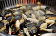 이제 엎드린 말이 깨어날 시간. 새해 첫 여행지 고흥 마복산