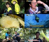 용감한과일부발점 | [SS다시보기] '정글' 설에도 병만족 생존&재미는 계속된다 '쭈~욱'